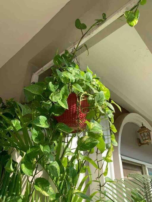 Furnished Villa Near Airport, Away From City Bhopal Extérieur photo